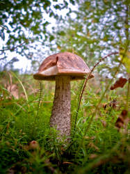 Фотограф Вениамин Чукалов