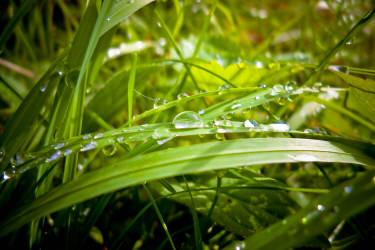 Фотограф Вениамин Чукалов