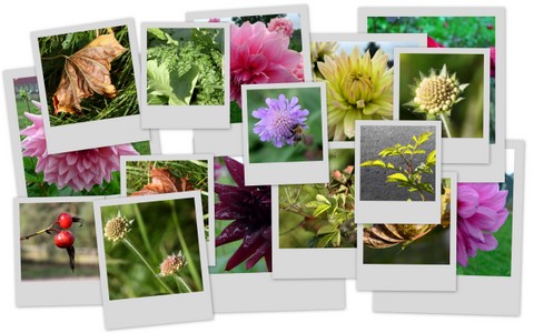 Фотограф Вениамин Чукалов