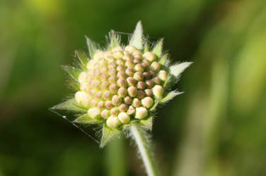 Фотограф Вениамин Чукалов