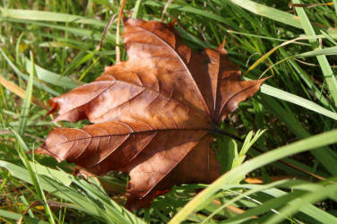 Фотограф Вениамин Чукалов