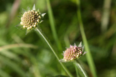 Фотограф Вениамин Чукалов
