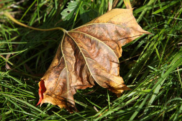 Фотограф Вениамин Чукалов