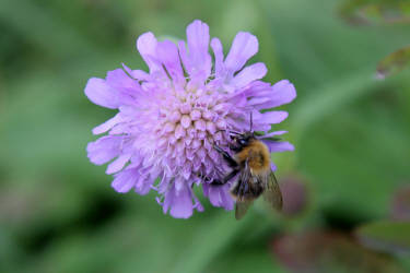 Фотограф Вениамин Чукалов