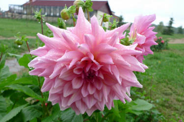 Фотограф Вениамин Чукалов