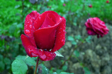 Фотограф Вениамин Чукалов