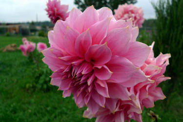 Фотограф Вениамин Чукалов