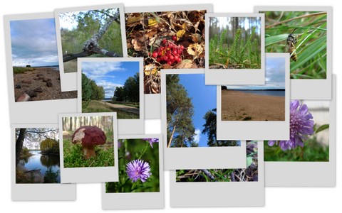 Фотограф Вениамин Чукалов