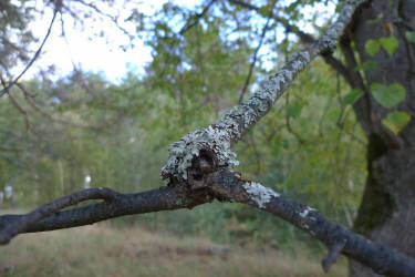 Фотограф Вениамин Чукалов