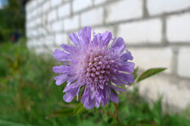 Фотограф Вениамин Чукалов