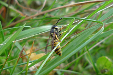 Фотограф Вениамин Чукалов