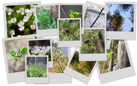 Фотограф Вениамин Чукалов