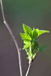 Фотограф Вениамин Чукалов