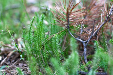 Фотограф Вениамин Чукалов