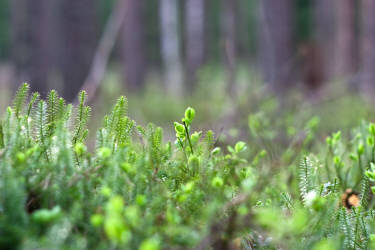 Фотограф Вениамин Чукалов