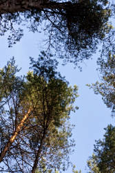 Фотограф Вениамин Чукалов