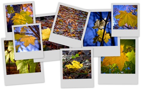 Фотограф Вениамин Чукалов