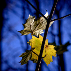 Фотограф Вениамин Чукалов