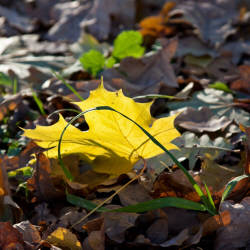 Фотограф Вениамин Чукалов