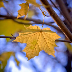 Фотограф Вениамин Чукалов