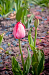 Фотограф Вениамин Чукалов