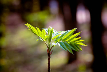 Фотограф Вениамин Чукалов