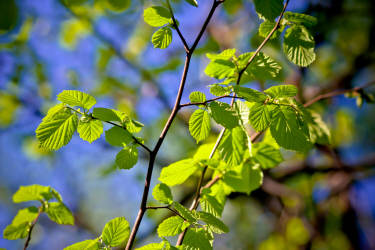 Фотограф Вениамин Чукалов