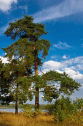 Фотограф Вениамин Чукалов