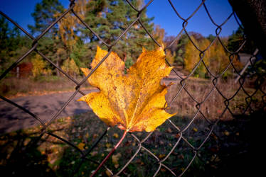 Фотограф Вениамин Чукалов