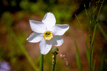 Фотограф Вениамин Чукалов